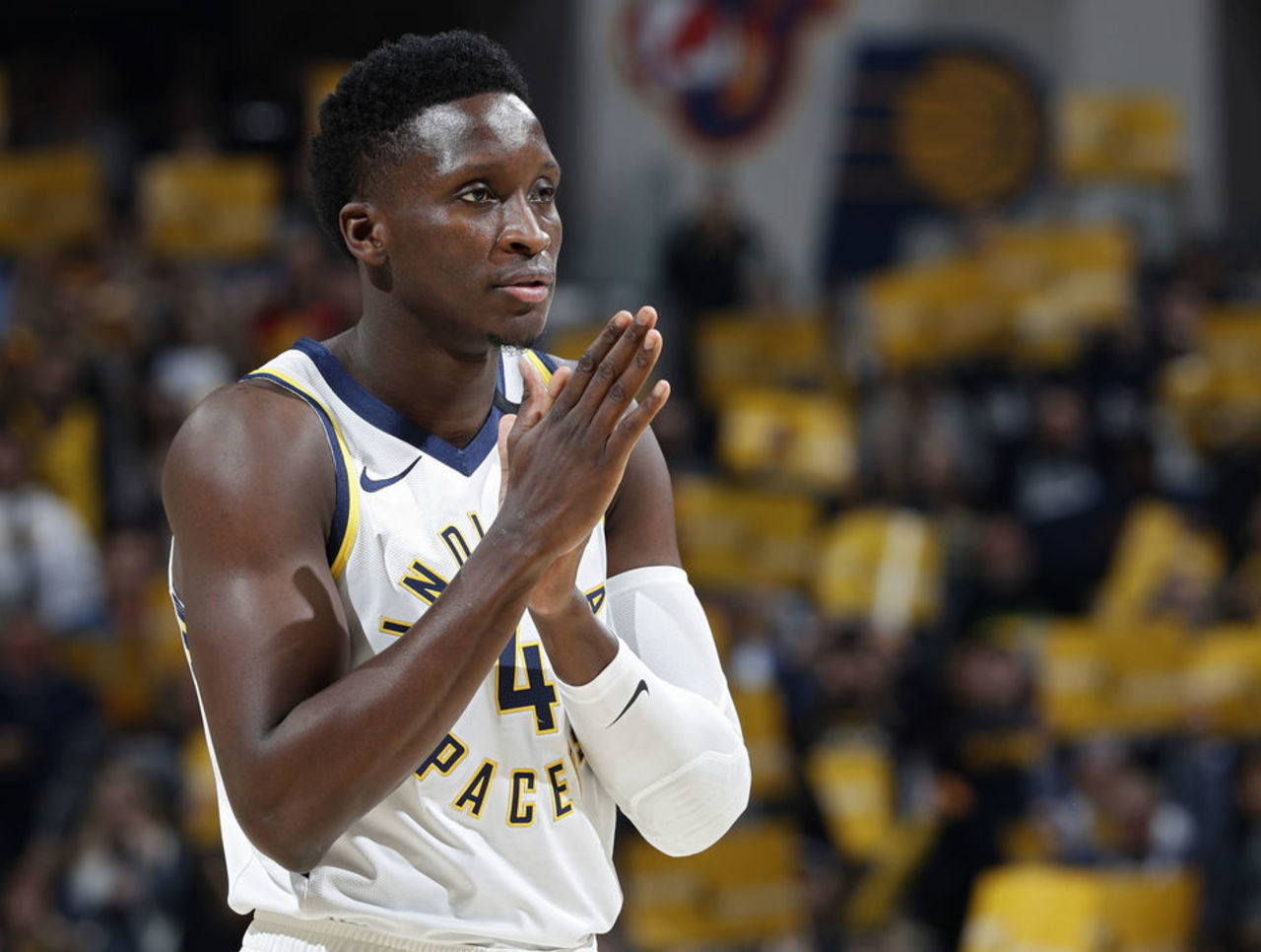 希望什琴斯 希望什琴斯