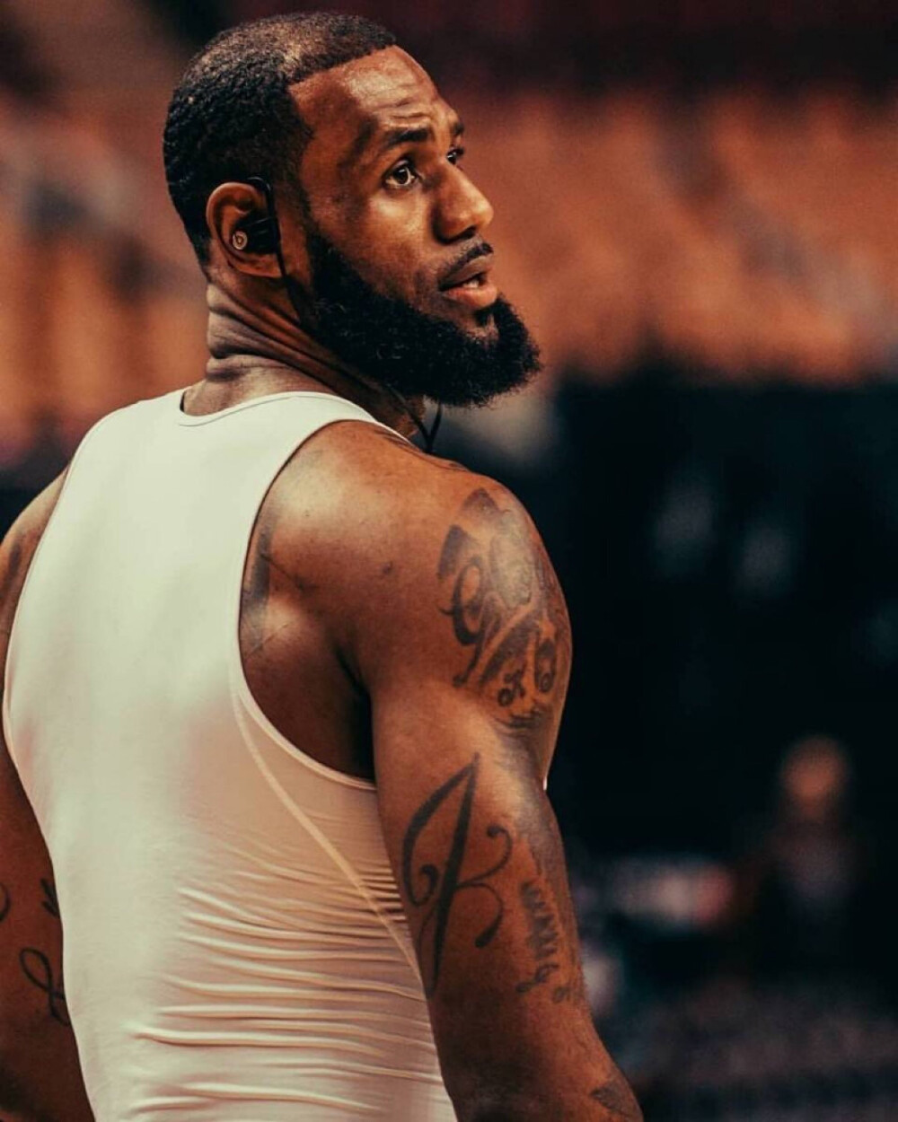 从单一高波 从单一高波