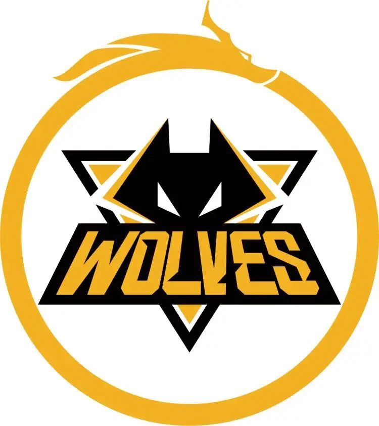 联打击王称 联打击王称